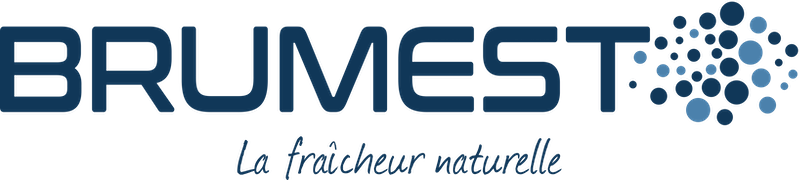logo Brumest